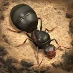 The Ants Underground Kingdom Mod Apk Icon