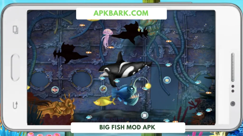 big fish mod apk free purchase