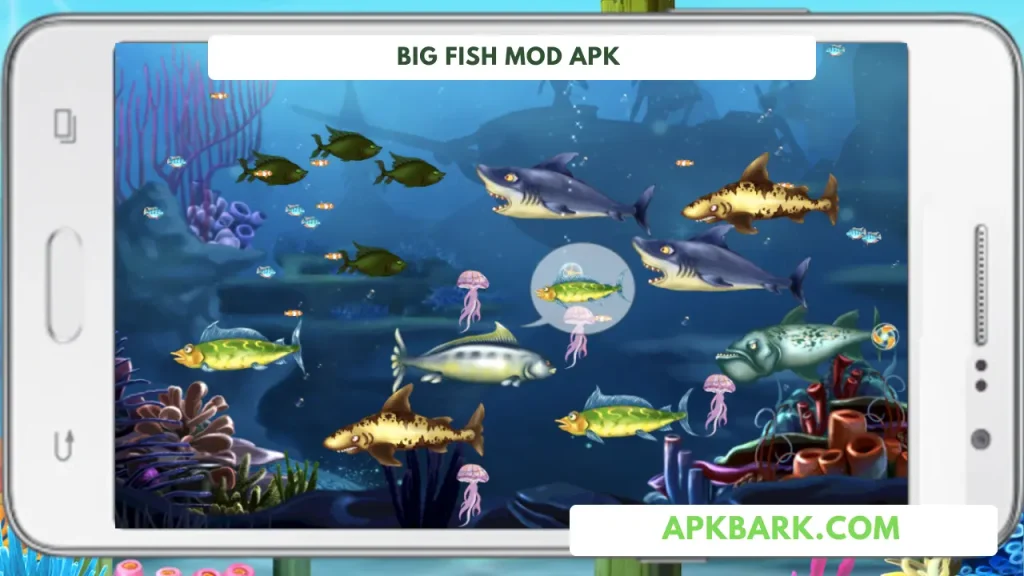 big fish mod apk unlimited everything