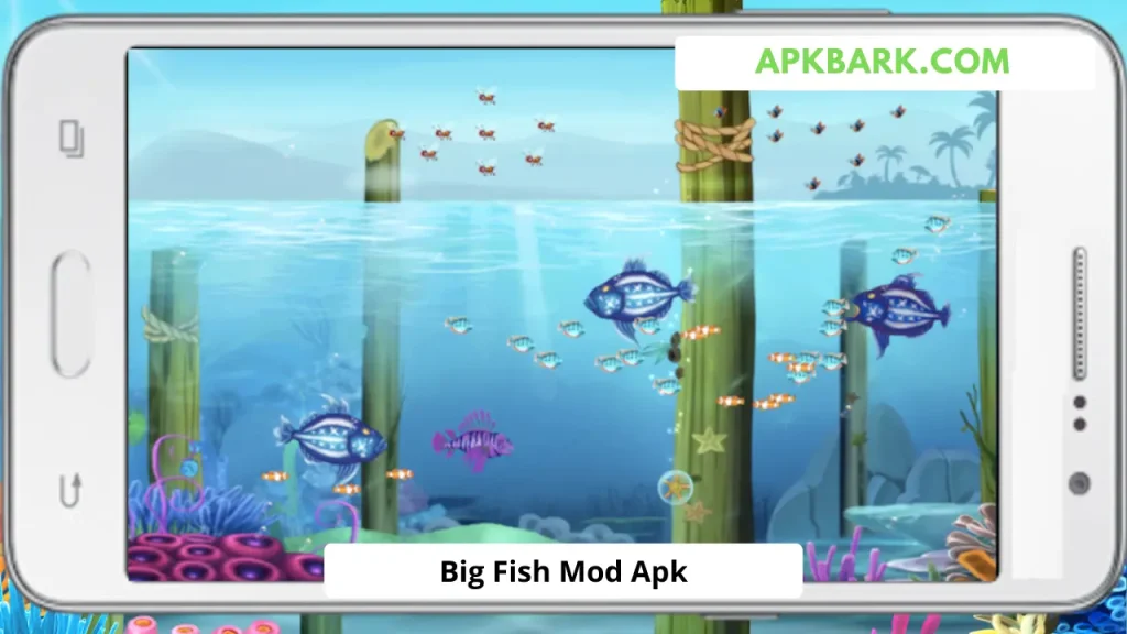 big fish mod apk unlimited money