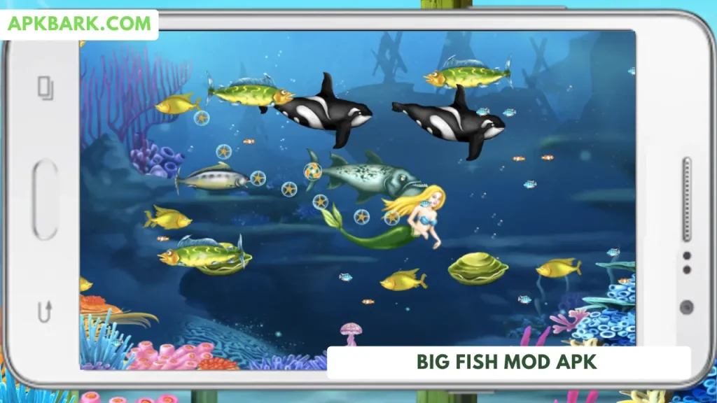 big fish mod unlimited everything